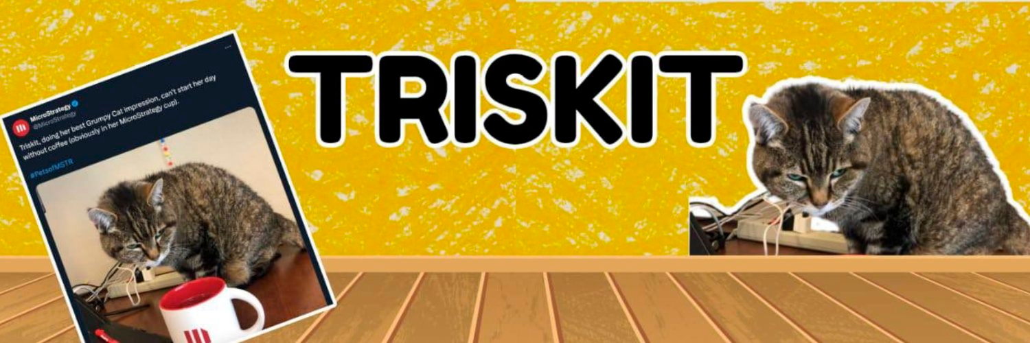 TRISKIT sitting on the desk beside a MicroStrategy mug, with a mock social post calling it the best Grumpy Cat impression